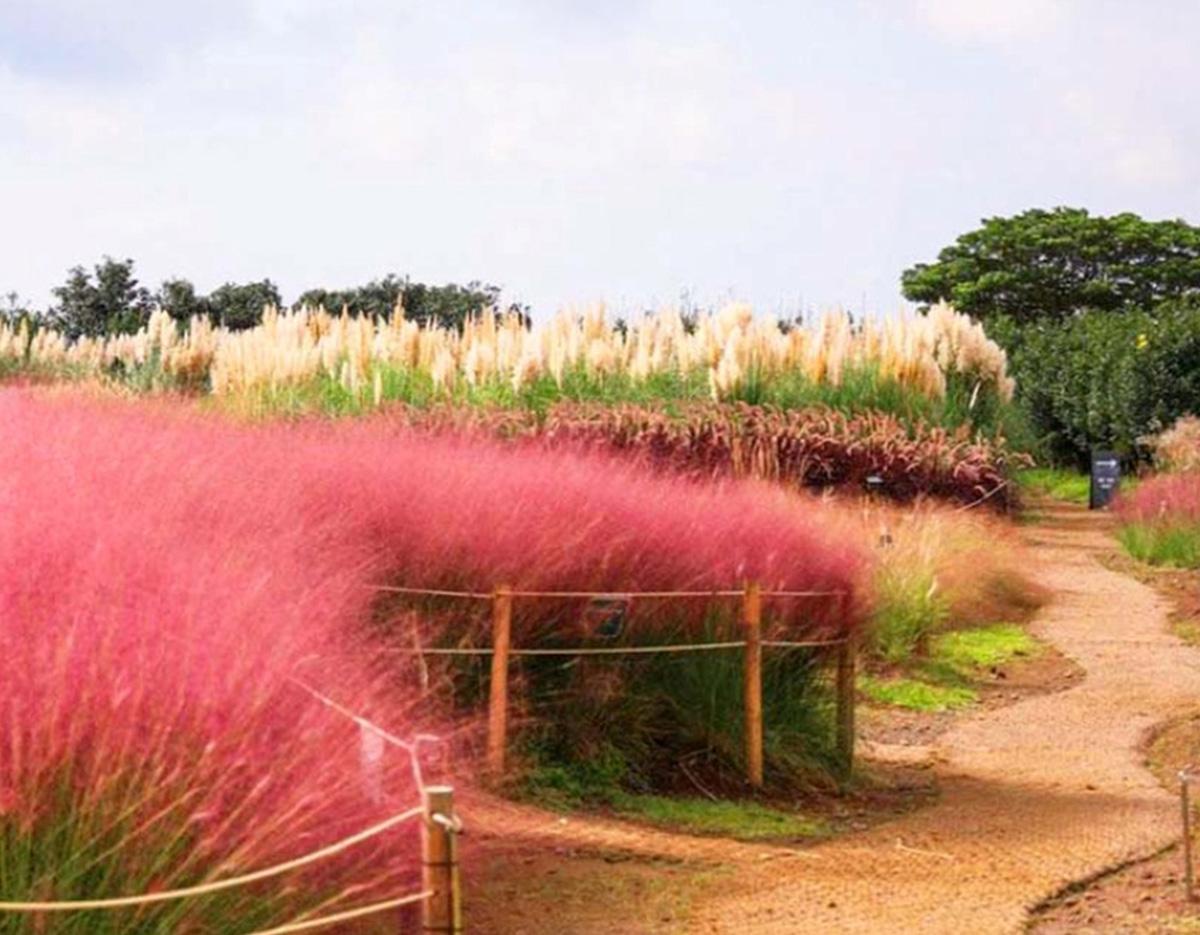 Jeju South & West Scenic Small group Tour with Local guide