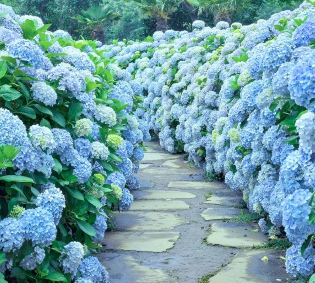 Jeju South & West Scenic Small group Tour with Local guide