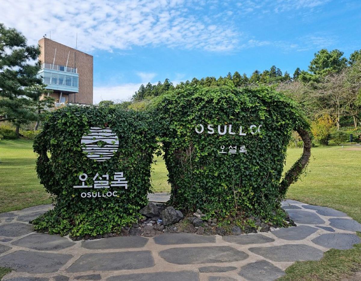 Jeju South & West Scenic Small group Tour with Local guide