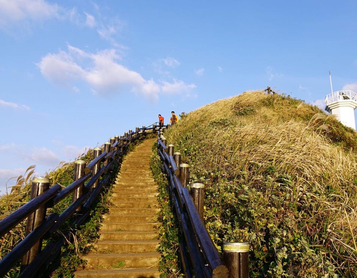 Jeju Private Cruise Shore Tour with Licensed Guide