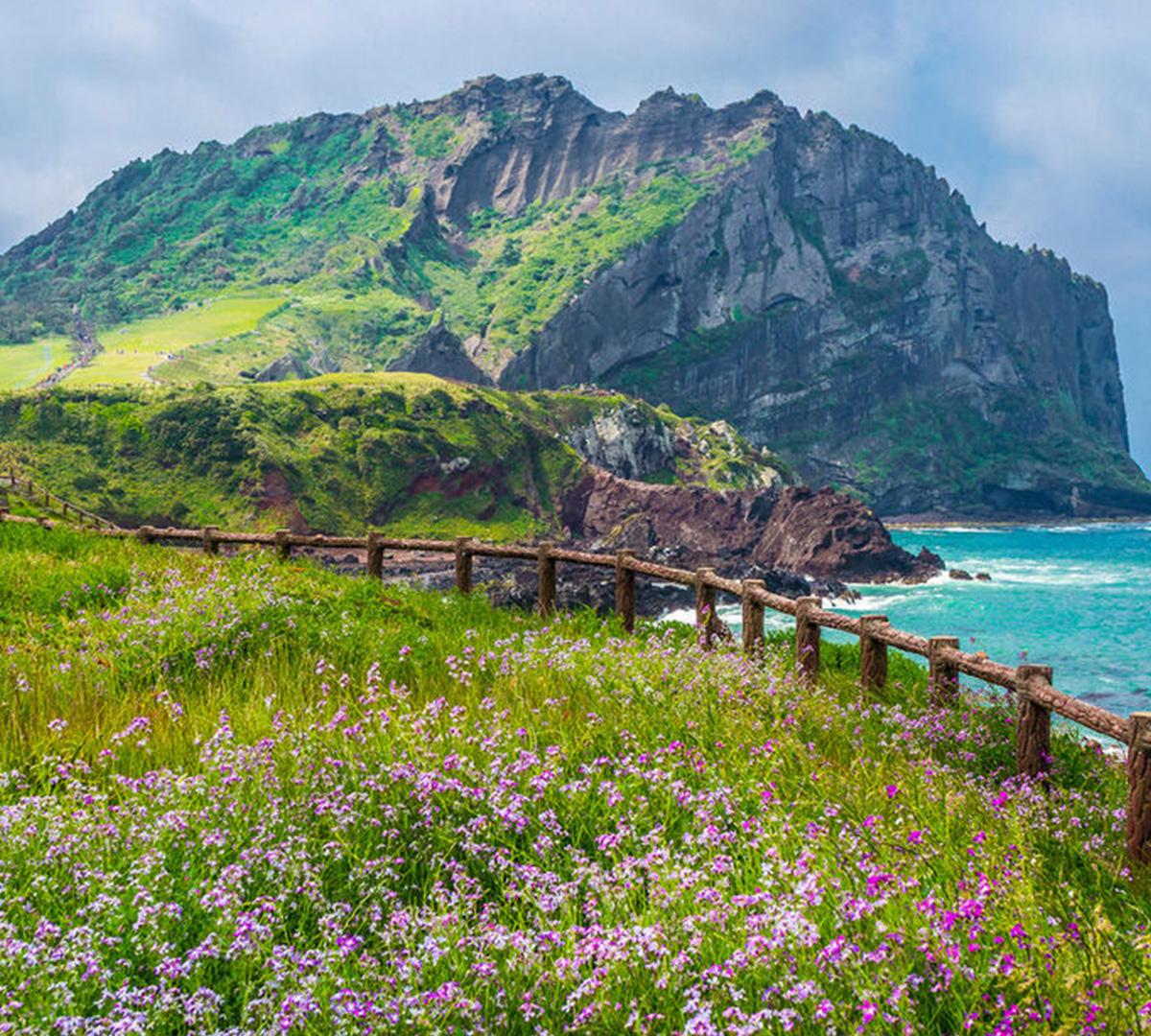 Jeju Private Custom Tour with Licensed Guide