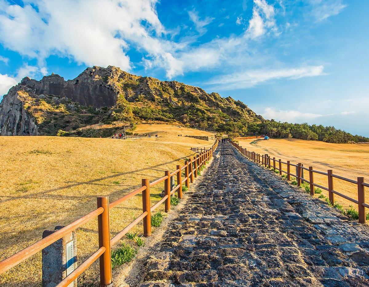 Jeju Private Custom Tour with Licensed Guide