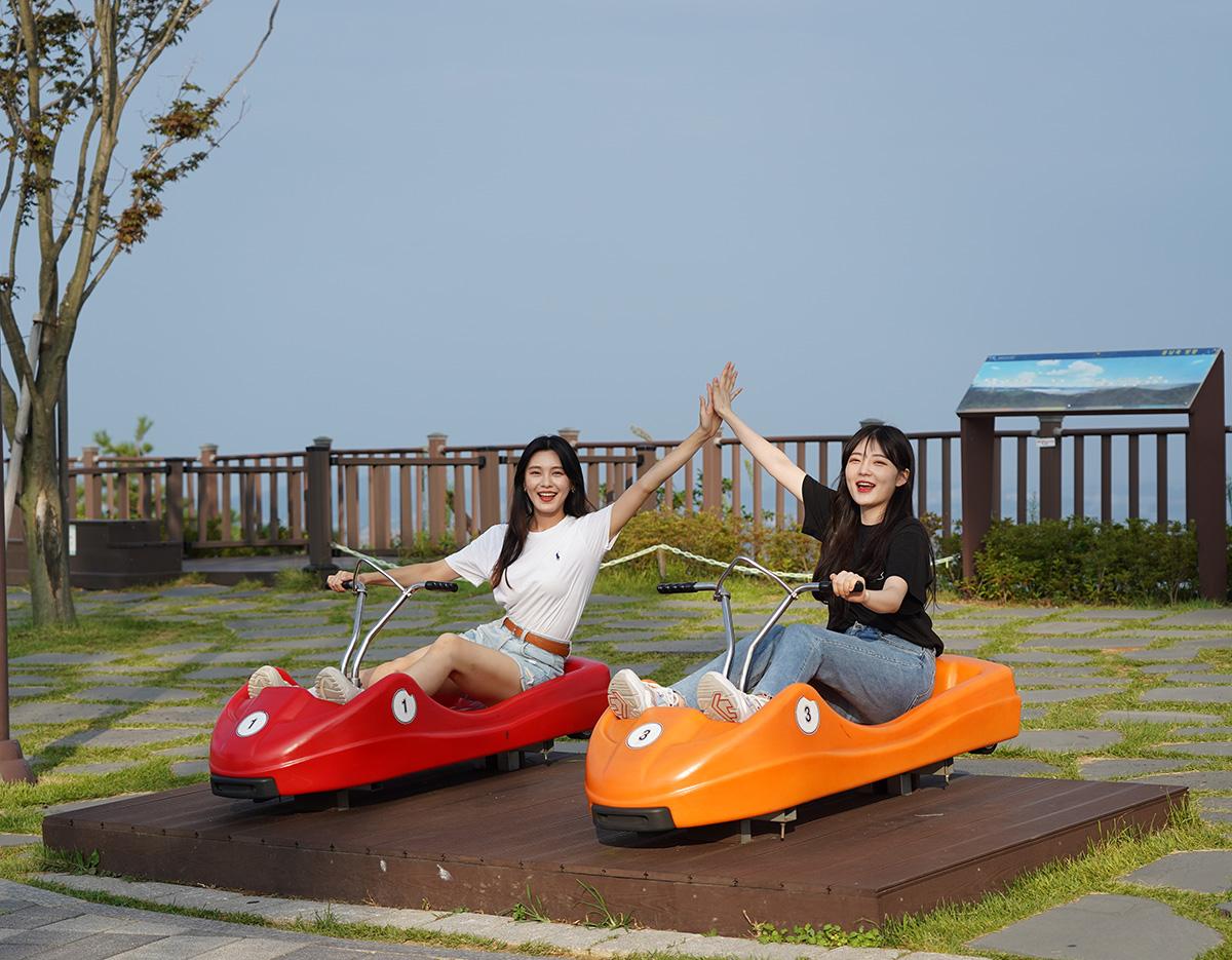 仁川/京畿道春季賞花 人氣景點一日遊（首爾出發） 3