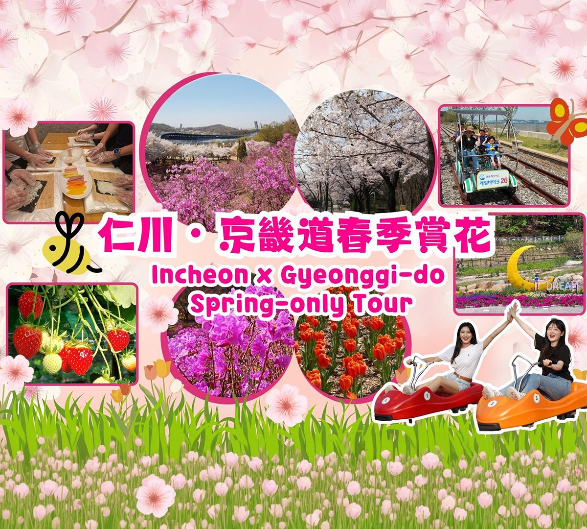 仁川/京畿道春季賞花 人氣景點一日遊（首爾出發） 1