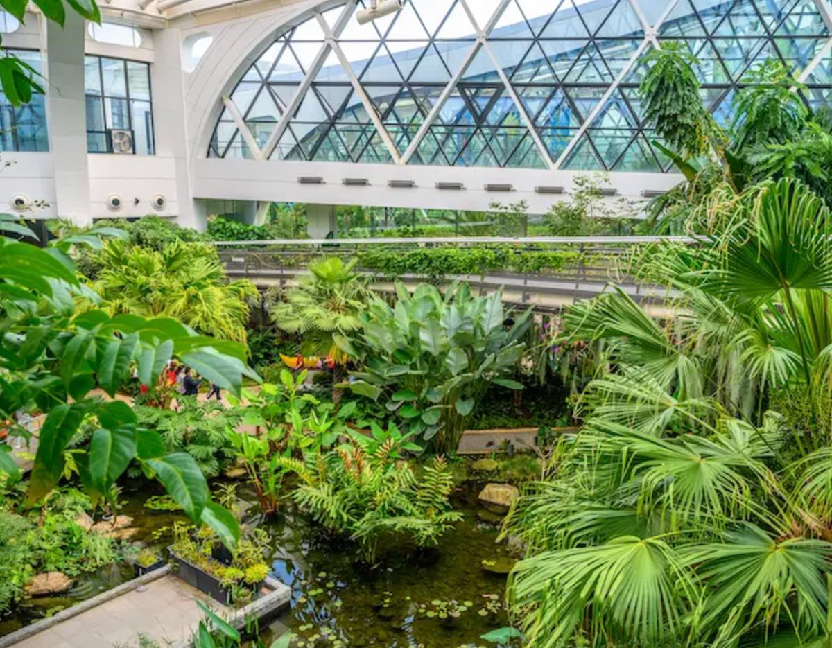 Indoor tropical garden with lush palms, ferns, pond and a glass-domed walkway at Seoul Botanical Garden (Seoul식물원).