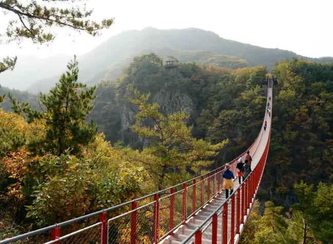 Red suspension footbridge stretching across forested valley with hikers and misty mountains in the background