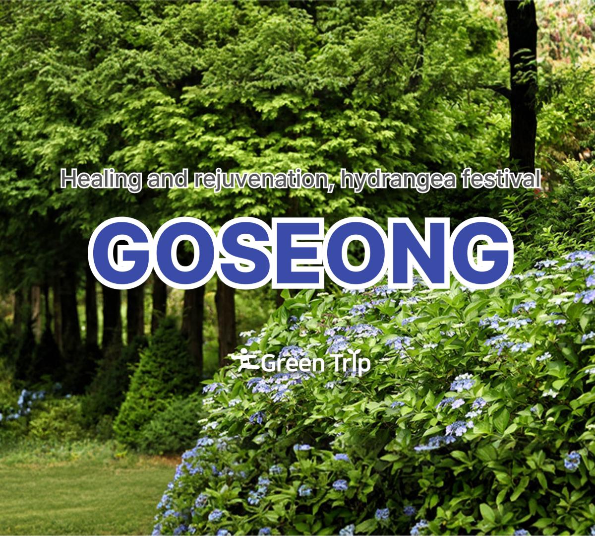 Lush green park with tall trees and a large hydrangea hedge with blue flowers, overlaid text "GOSEONG" and festival tagline