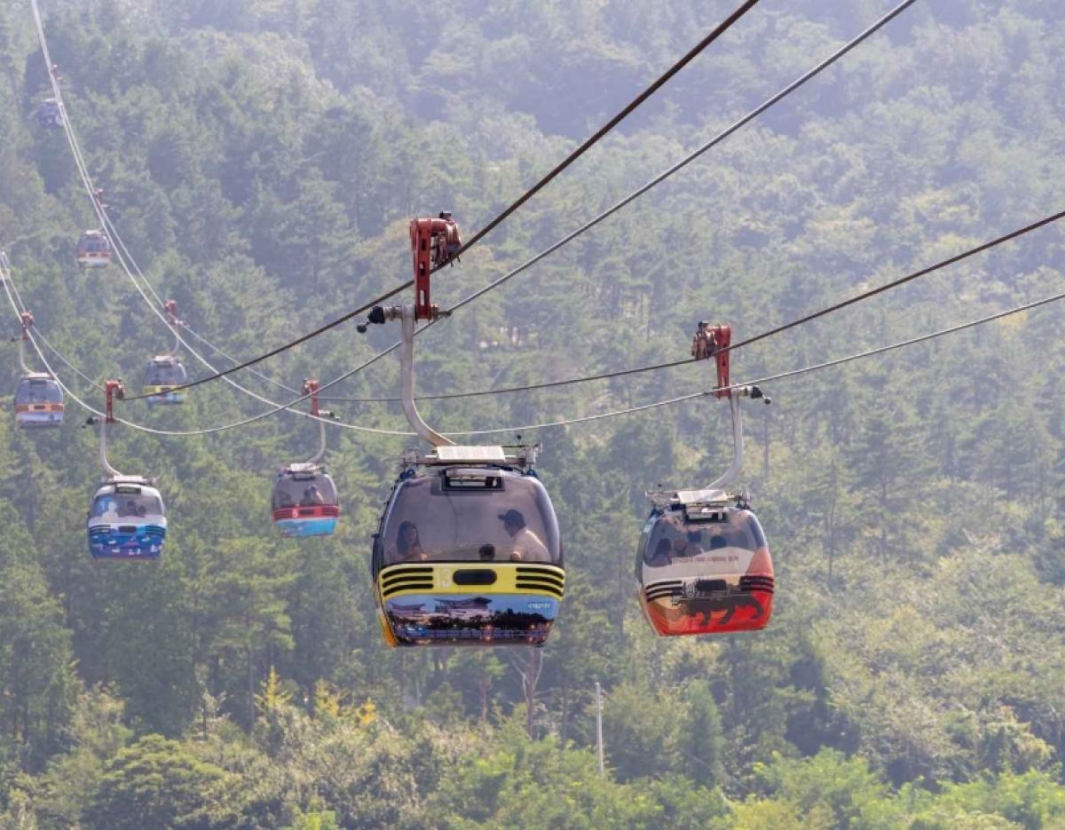 Colorful gondola cable cars suspended above forested mountains carrying passengers during KTO Goseong hydrangea festival tour