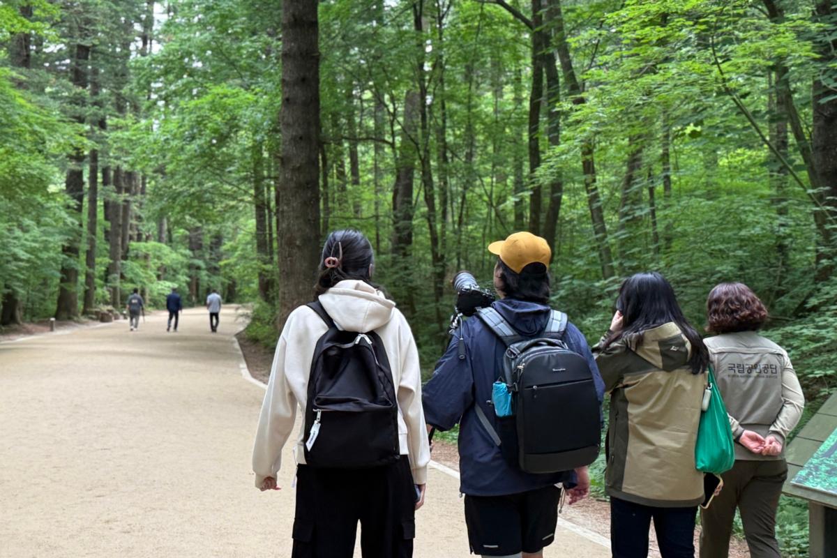 [K-Trekking Challenge] 前往五台山國立公園並領取小禮物🎁 3