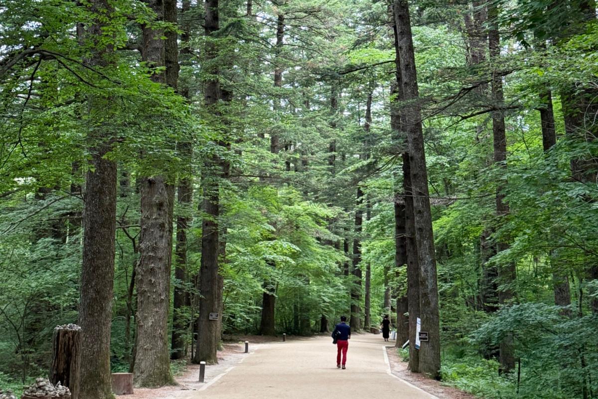 [K-Trekking Challenge] 前往五台山國立公園並領取小禮物🎁 2