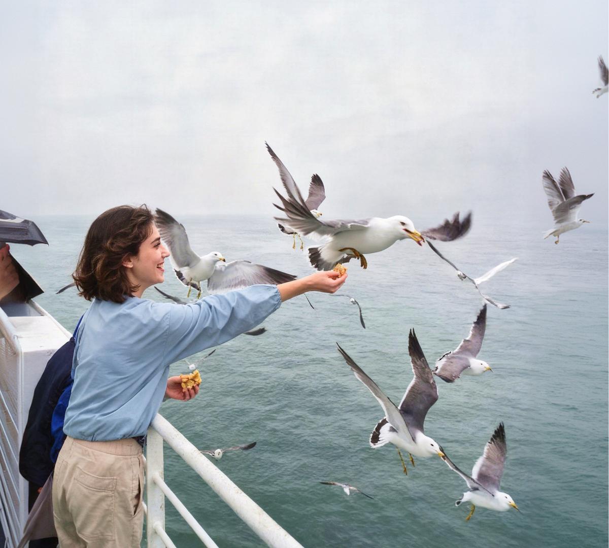 person in light blue shirt feeding hovering seagulls from a ferry deck over grey-green sea