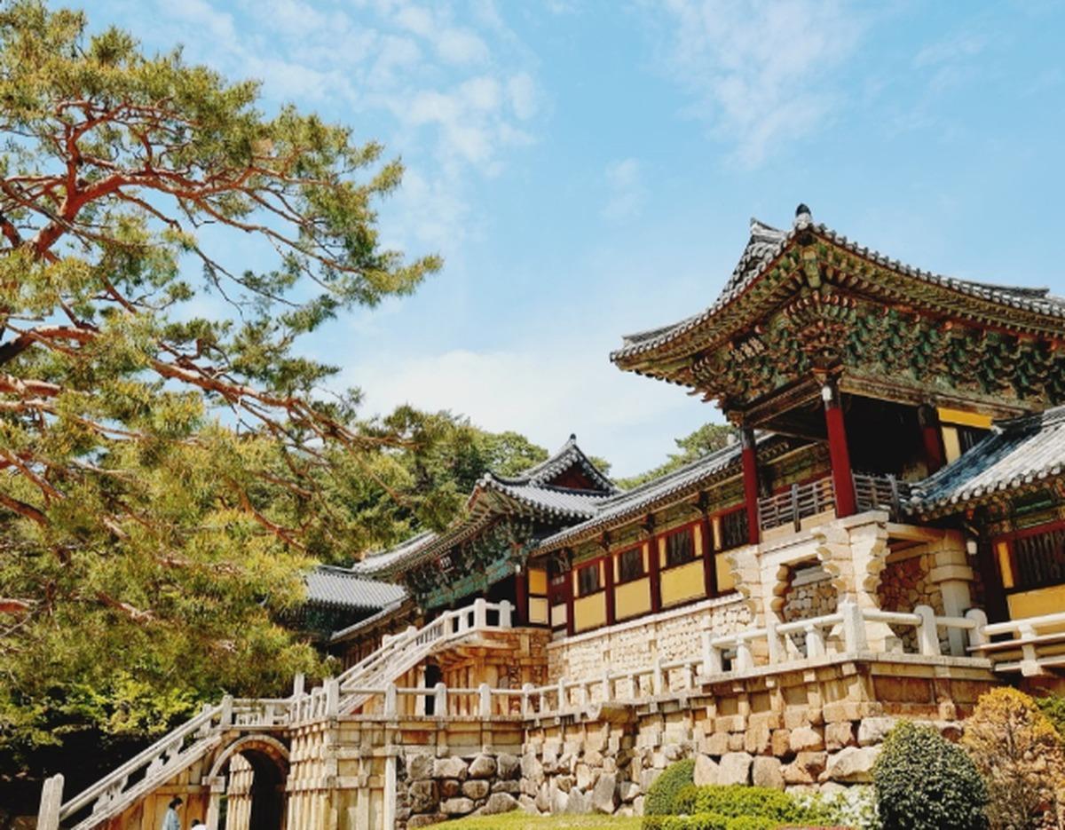 Bulguksa temple complex in Gyeongju with ornate painted eaves, stone terrace, stairway and pine tree under blue sky