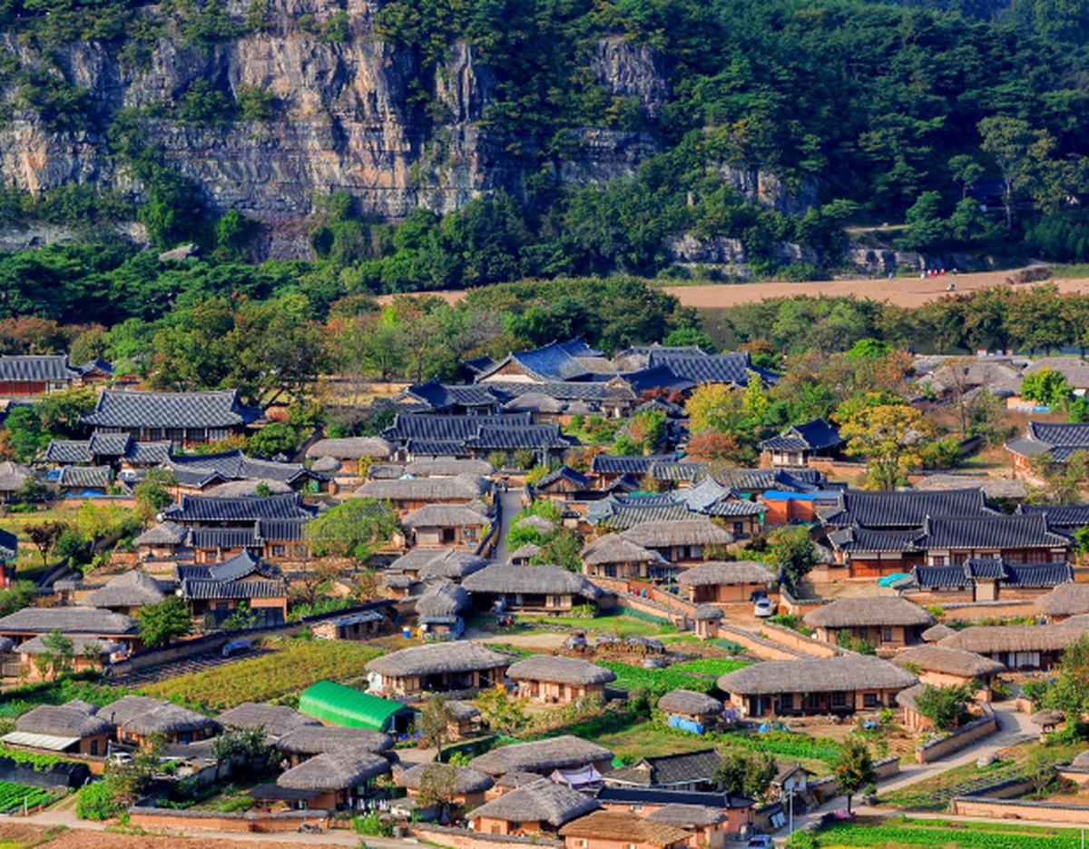 Andong Hahoe Village aerial view showing clustered traditional thatched and tiled hanok houses at village base beneath forested cliffs