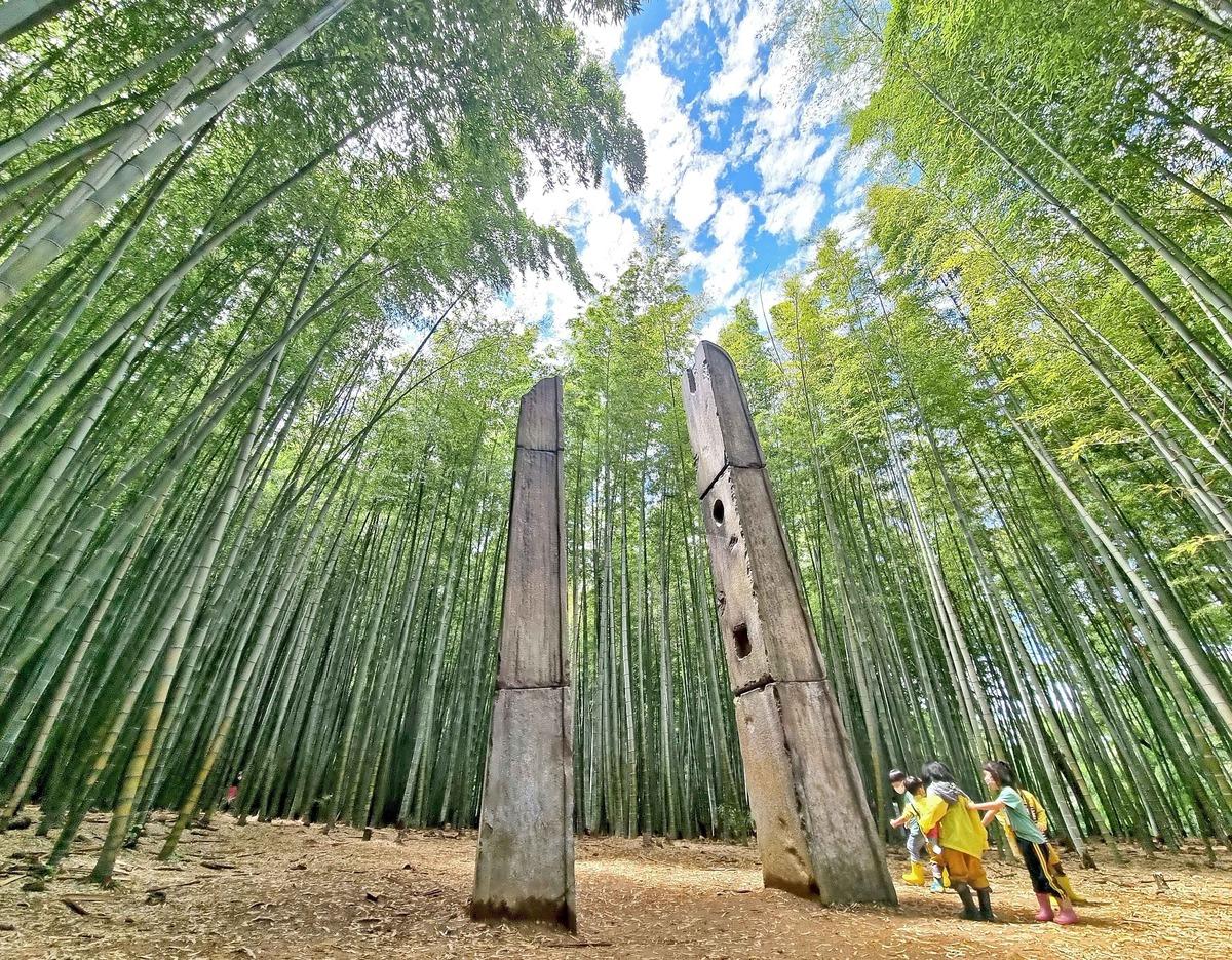 Ahopsan Bamboo Forest tour image