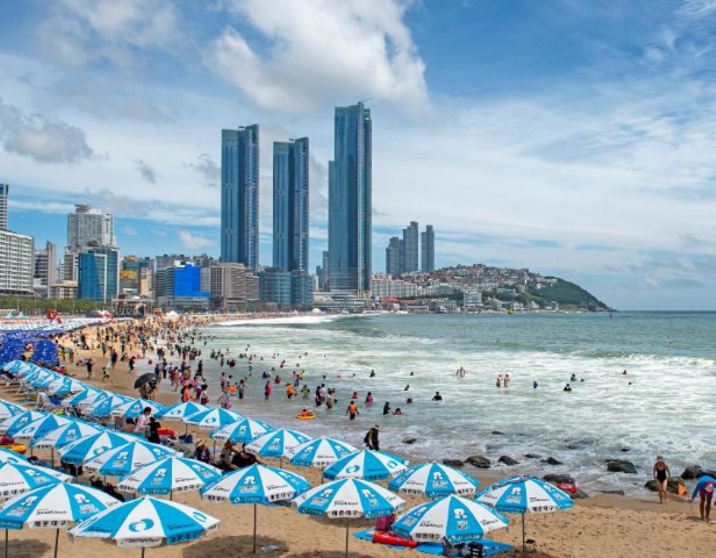 Skyline Luge Busan day tour gallery image 4