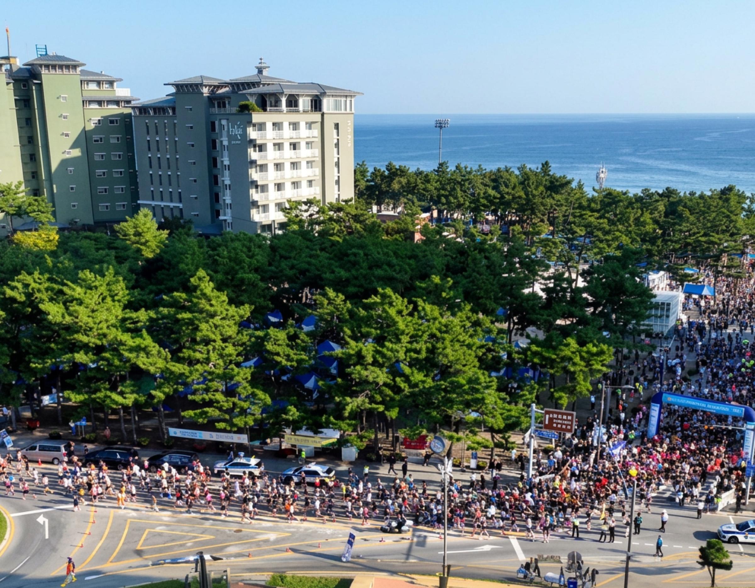 Aerial view of crowded 2026 Gangneung Gyeongpo Marathon start area along pine-lined beach road with runners and seaside hotels