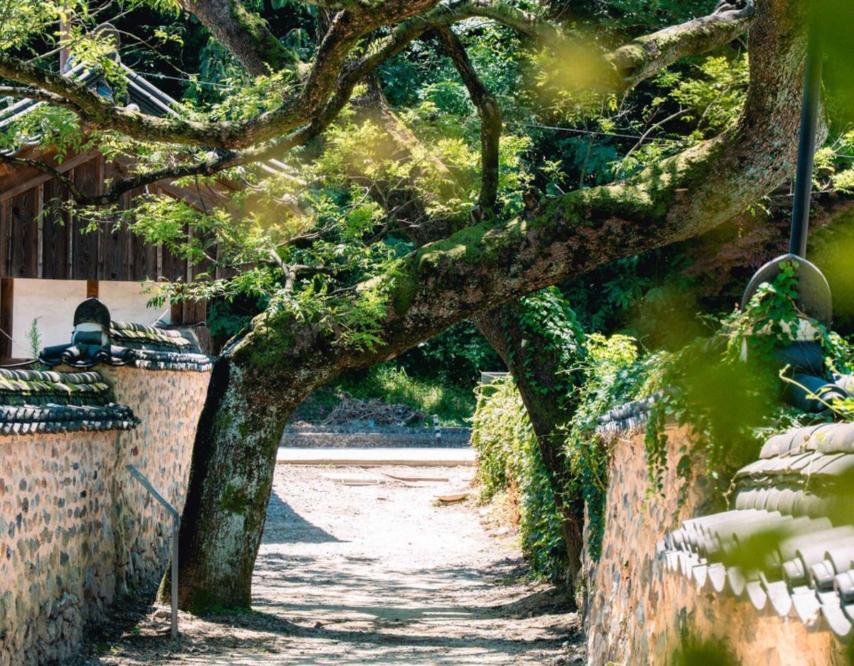 Sancheong Cultural & Wellness Day