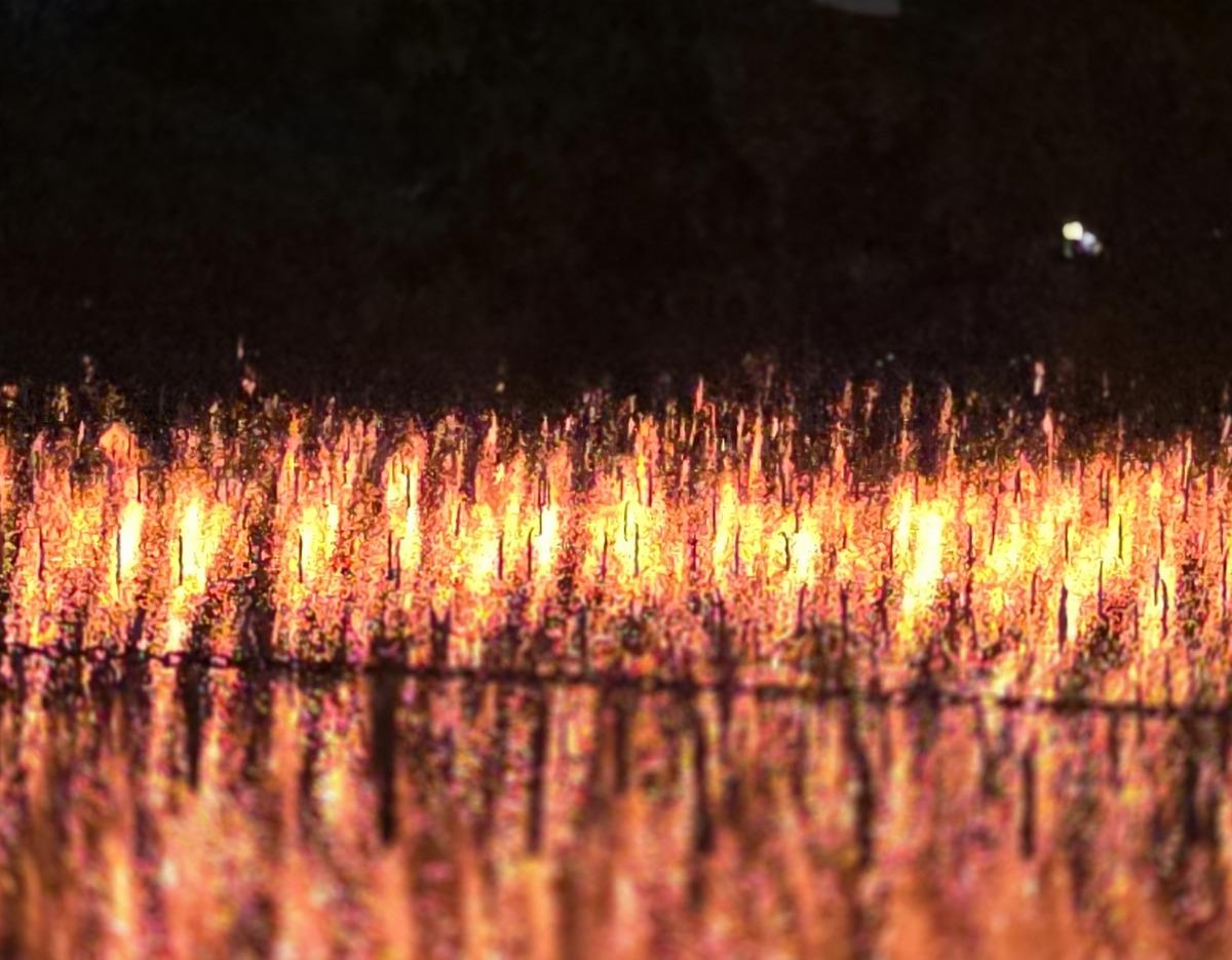 Rows of Korean traditional firework sparks falling like flower petals over the pond