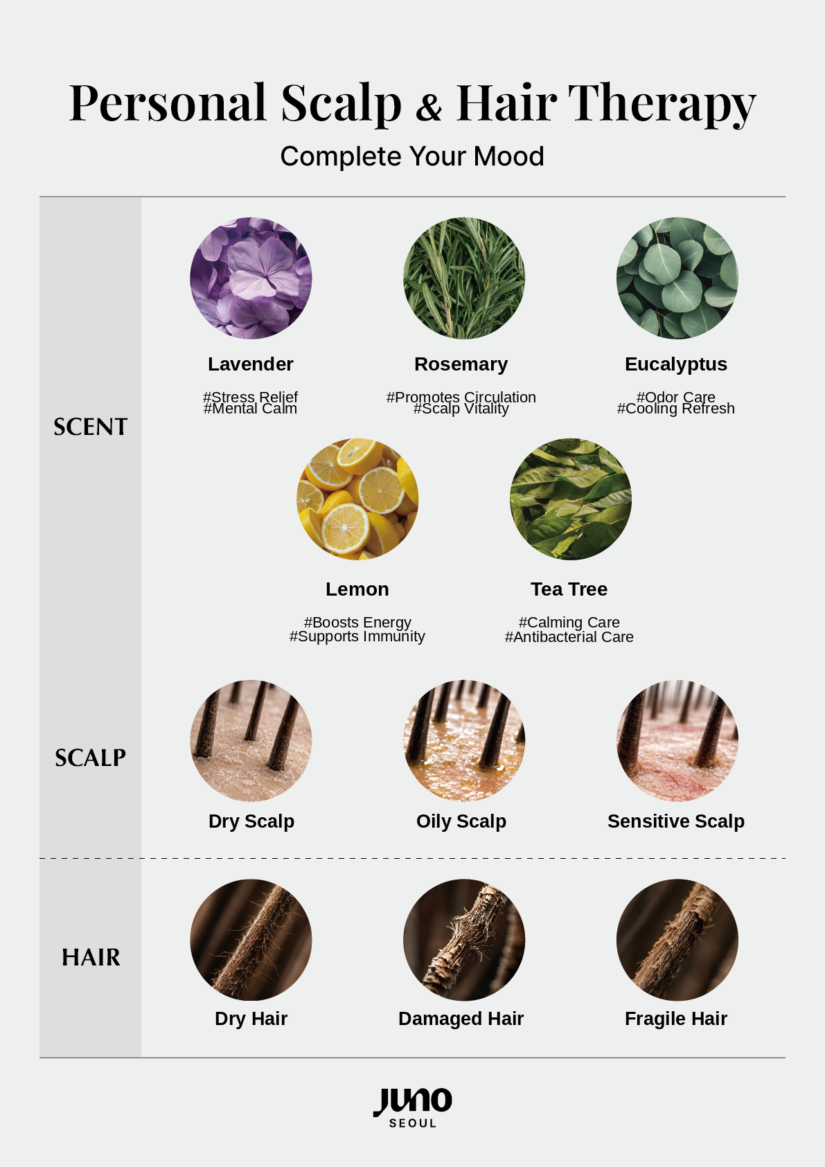 JUNO Seoul scent scalp and hair guide