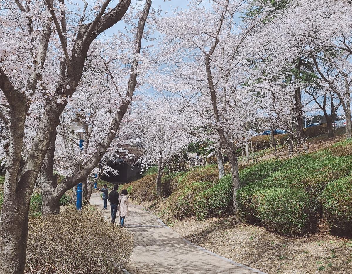 [K-Trekking Challenge] 前往慶州國立公園並領取小禮物🎁 4