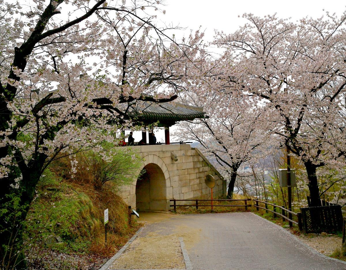 [K-Trekking Challenge] 前往北漢山國立公園(恩平)並領取小禮物🎁 3