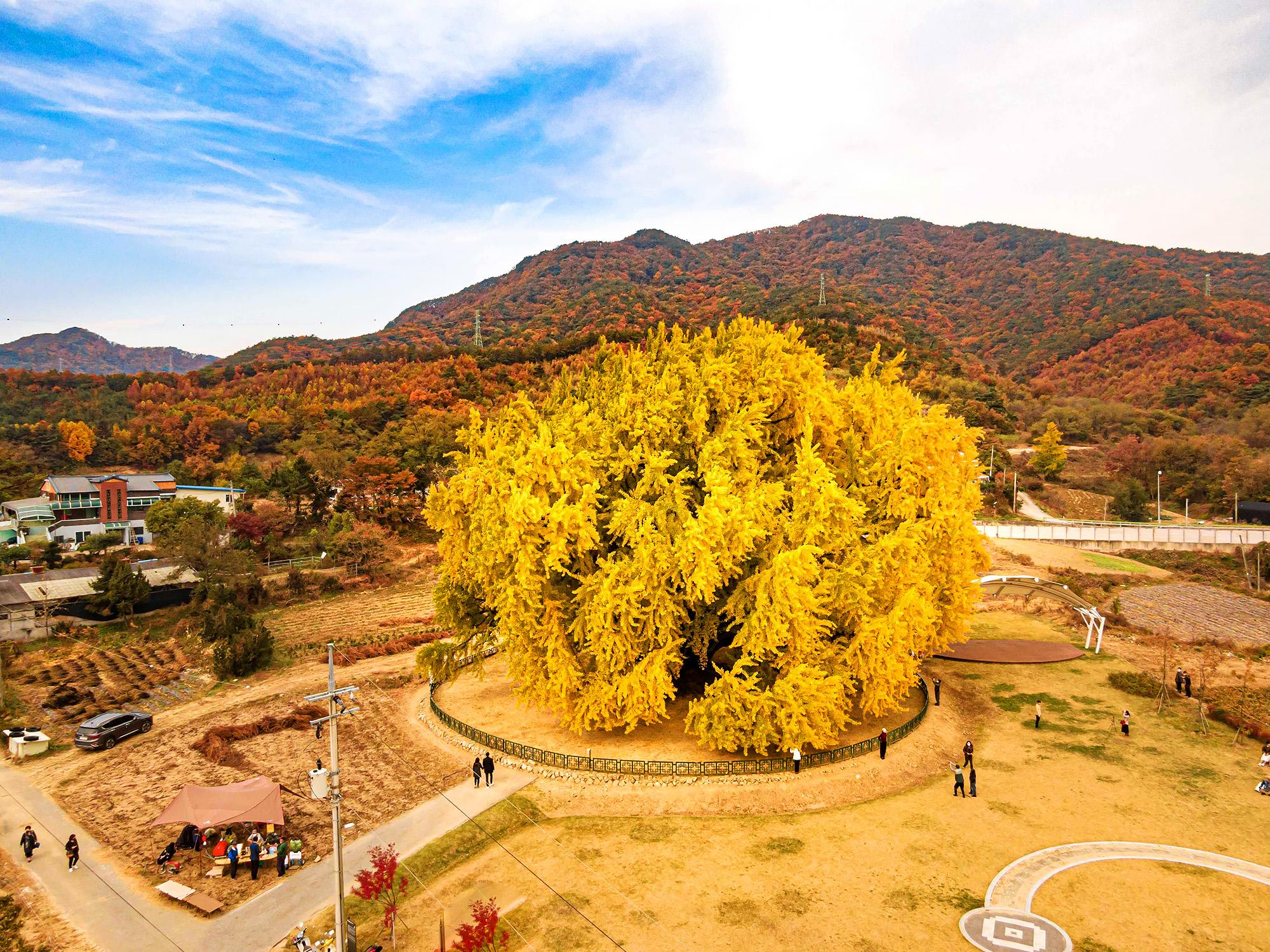 [레서트] 원주 투어 이미지 1