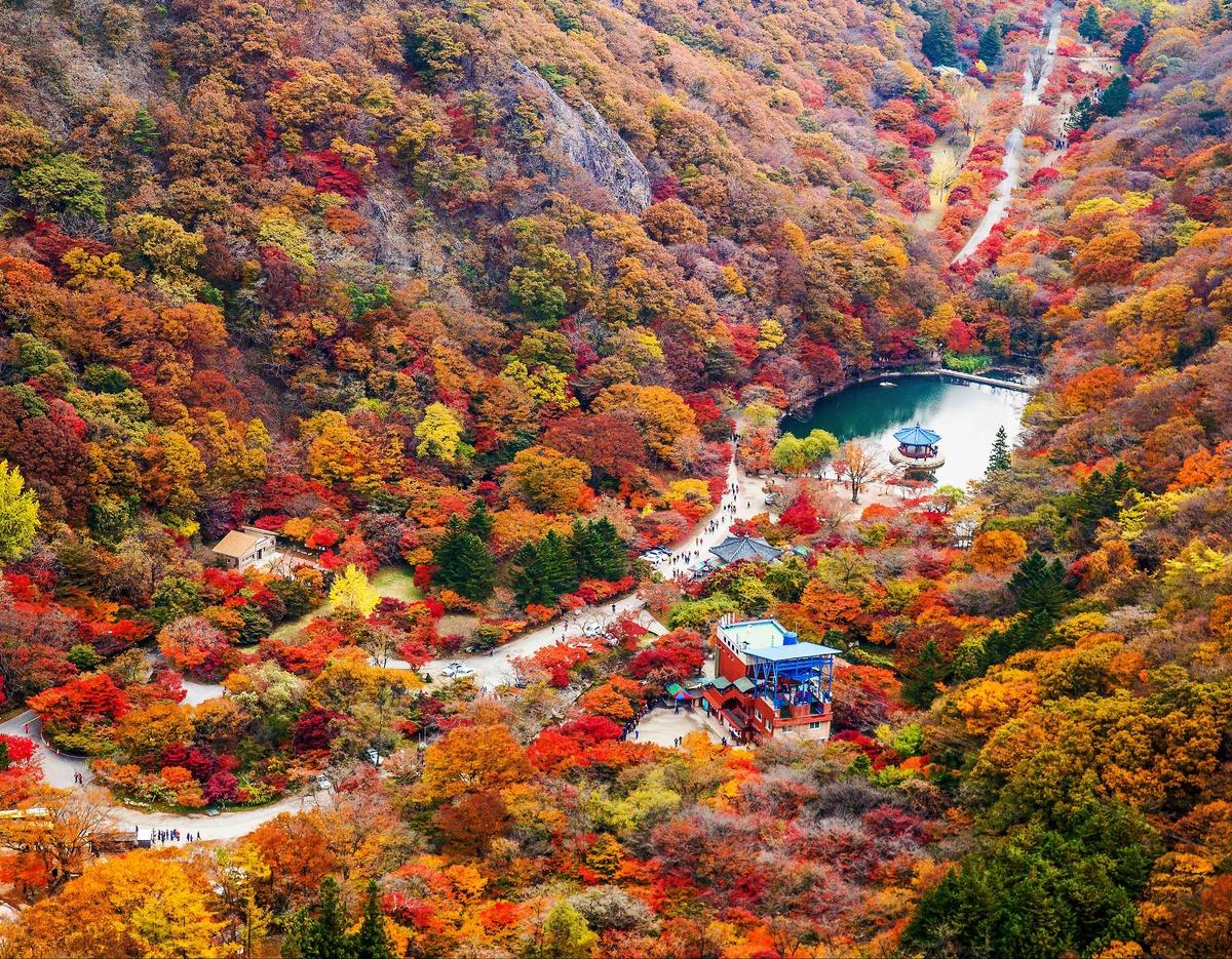 Mt. Naejangsan