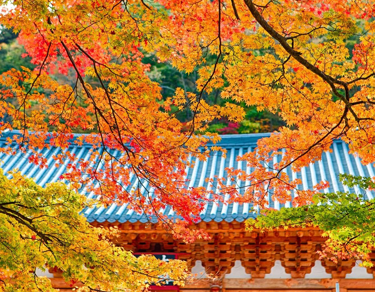 Mt. Naejangsan