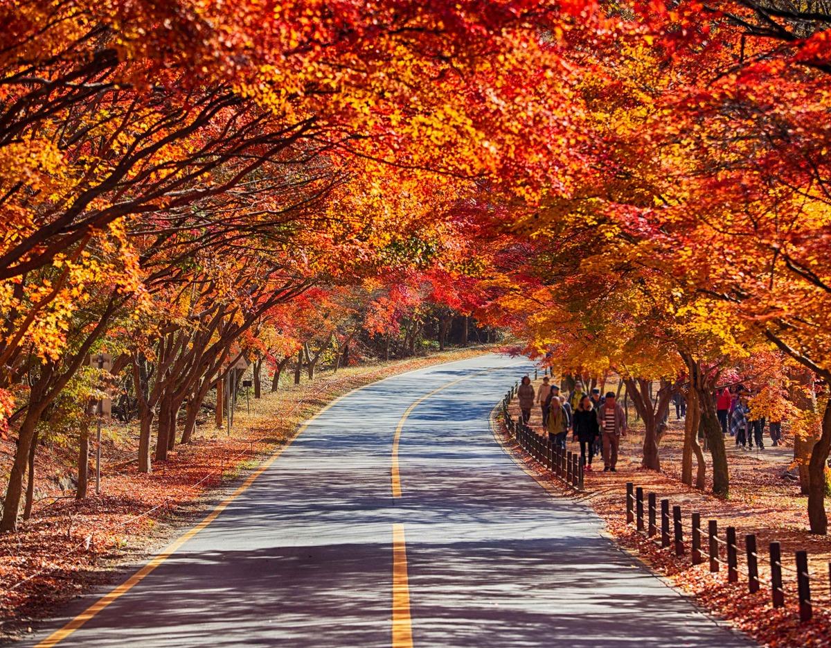 Mt. Naejangsan