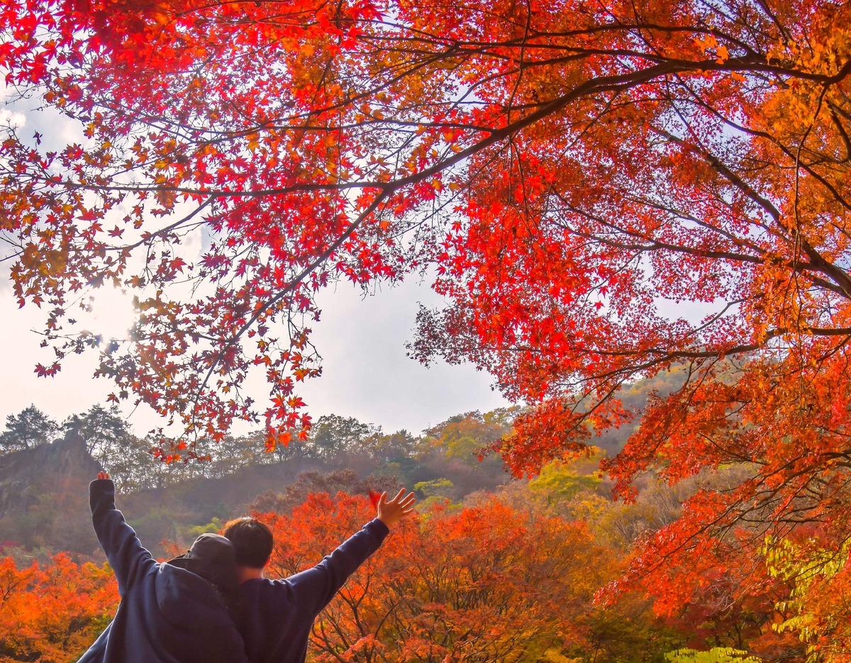 Mt. Naejangsan