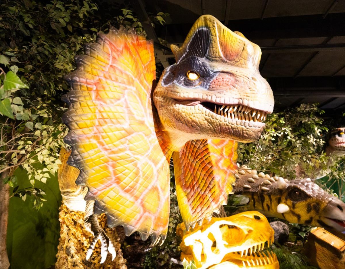 Chungcheong Tour Pass attraction image