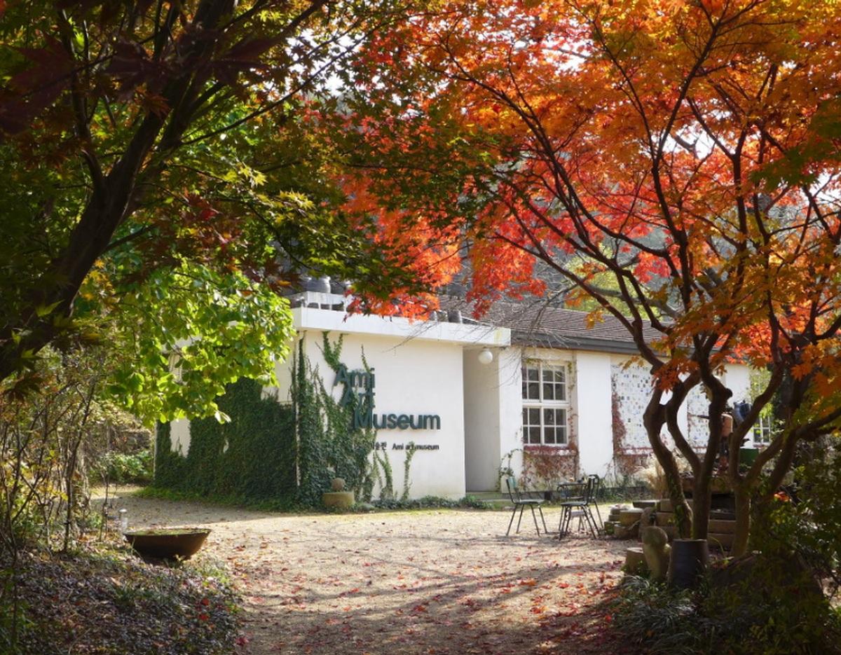 Autumn foliage framing a small white building labeled "Ami Museum" with ivy on walls and empty outdoor chairs.