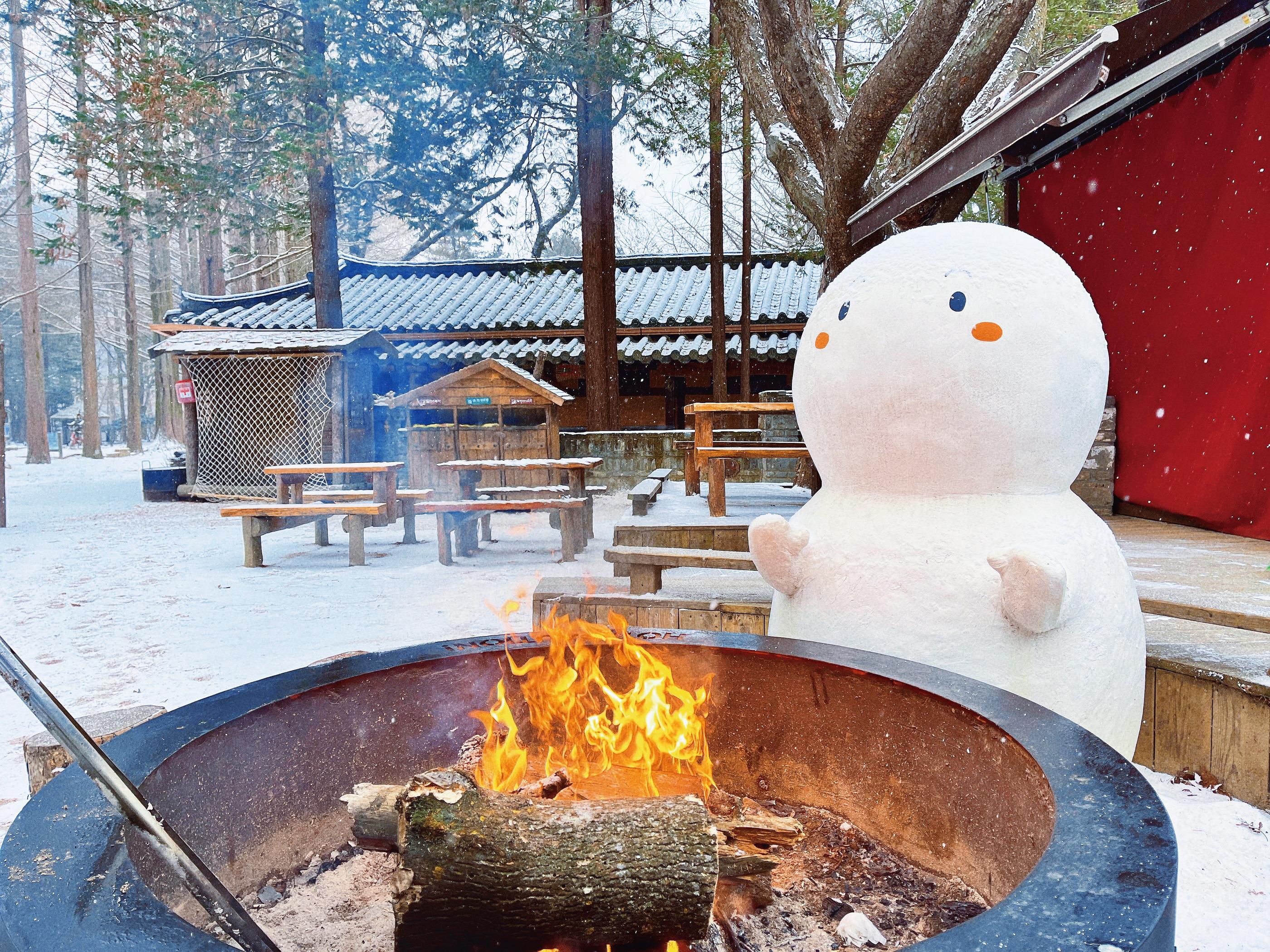 Seoraksan, Nami Island, and Eobi Ice Valley tour image