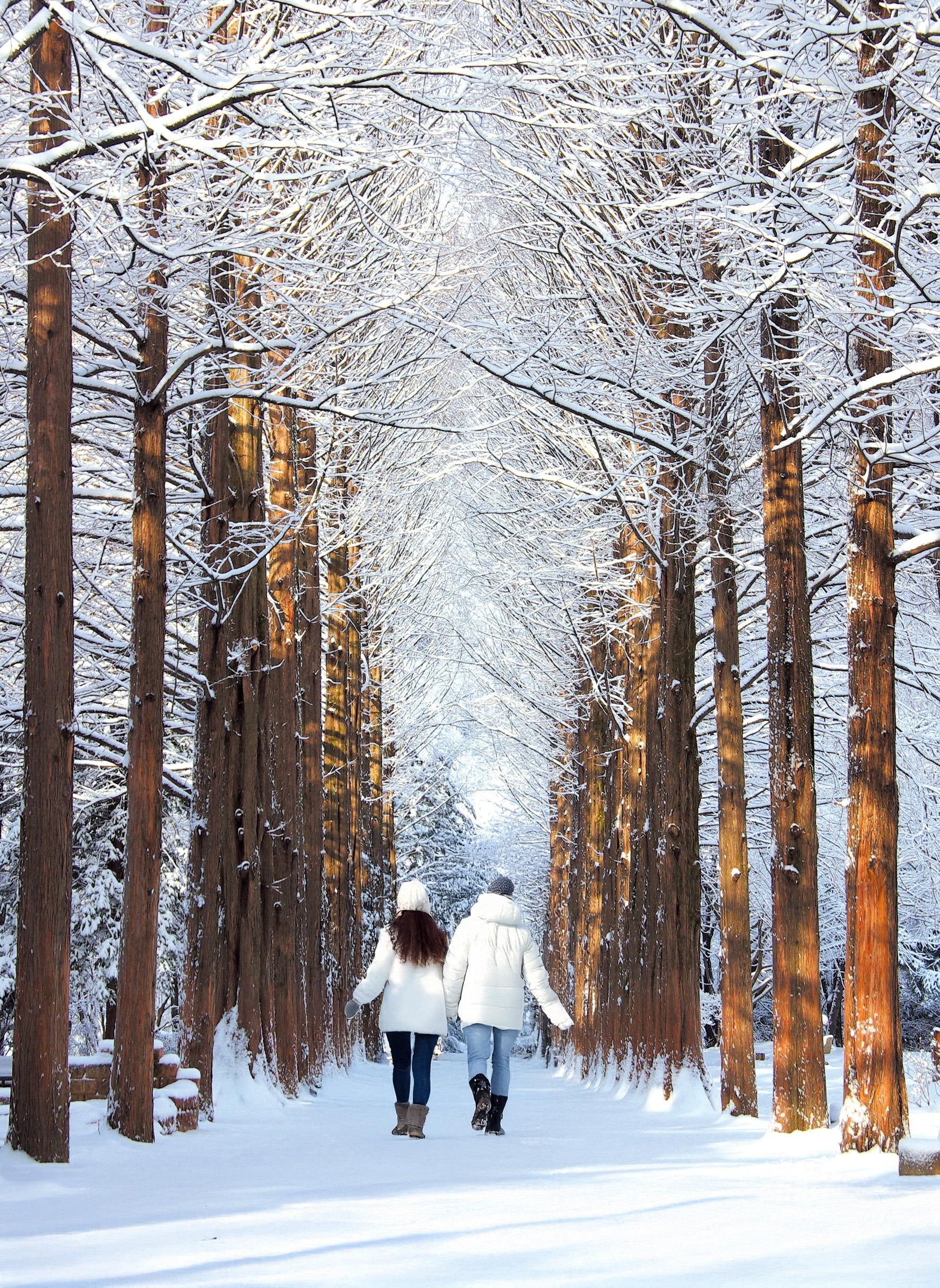 Seoraksan, Nami Island, and Eobi Ice Valley tour image