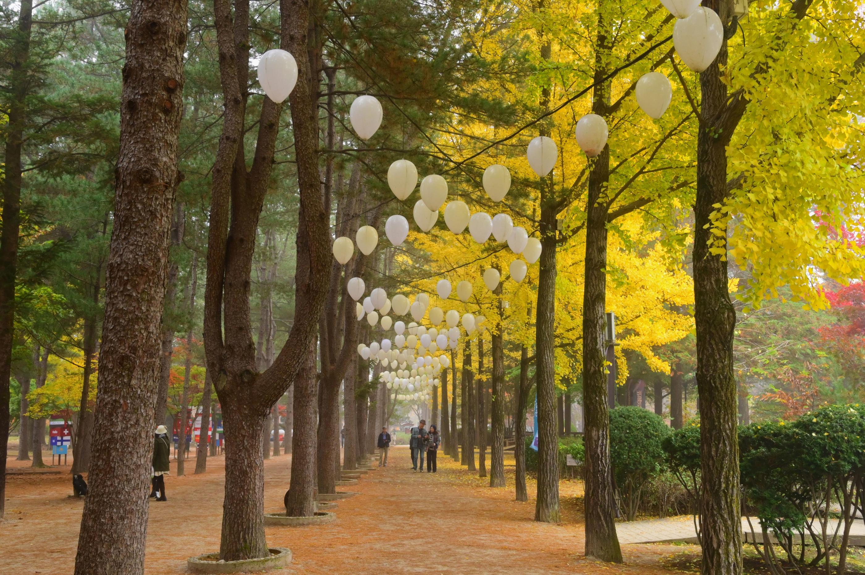 Seoraksan, Nami Island, and Eobi Ice Valley tour image