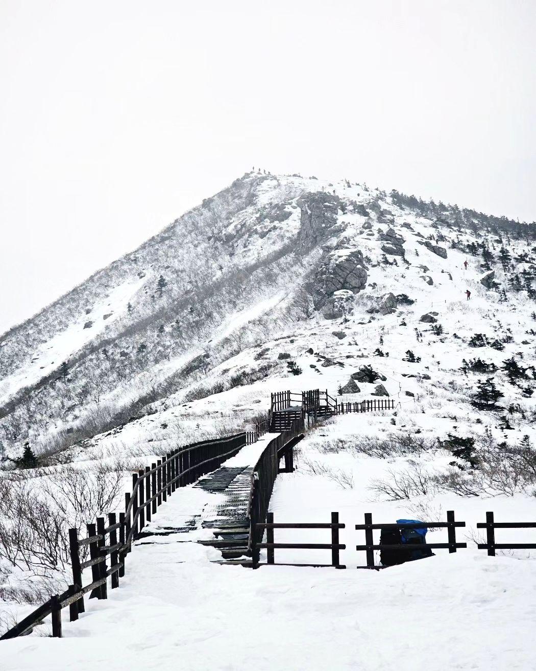 설악산 겨울 설경