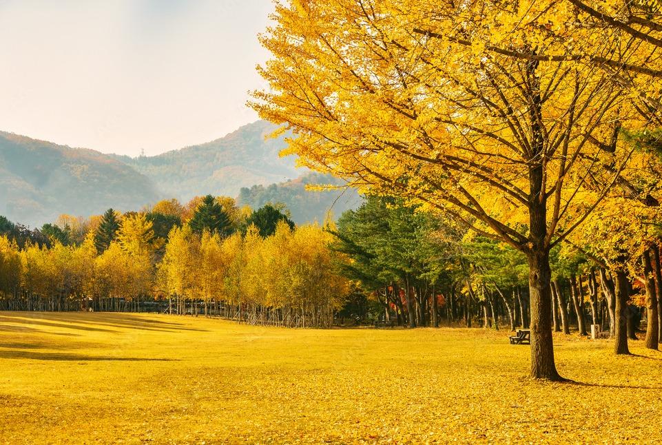 Seoraksan, Nami Island, and Eobi Ice Valley tour image