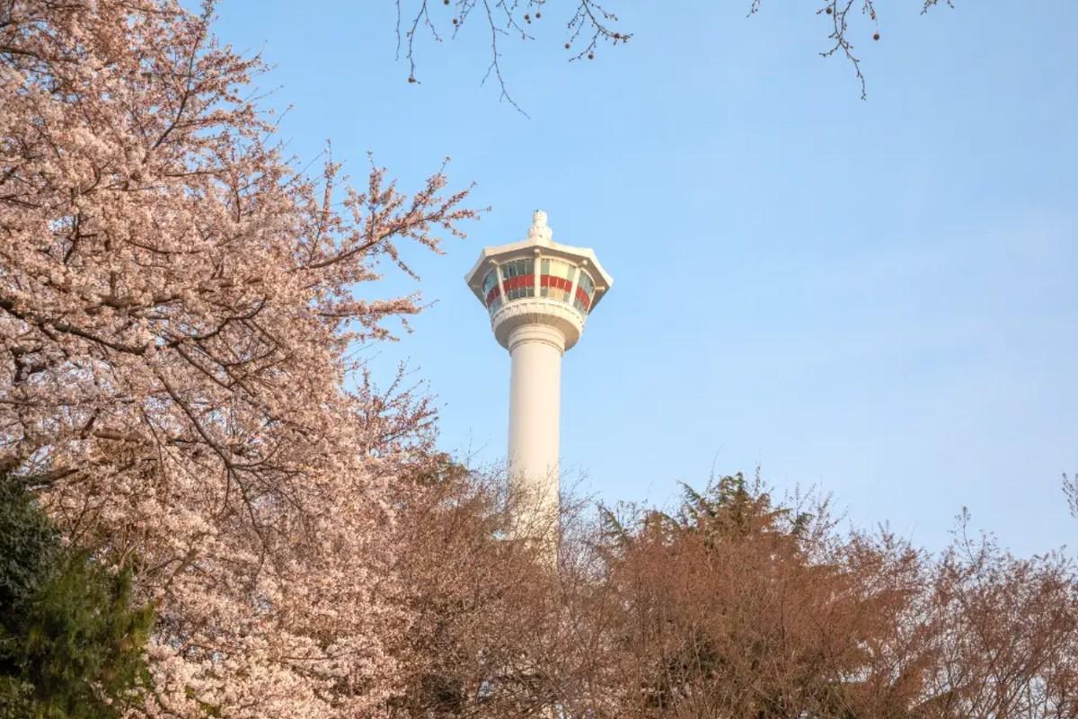 Busan Tower on-site photo 1