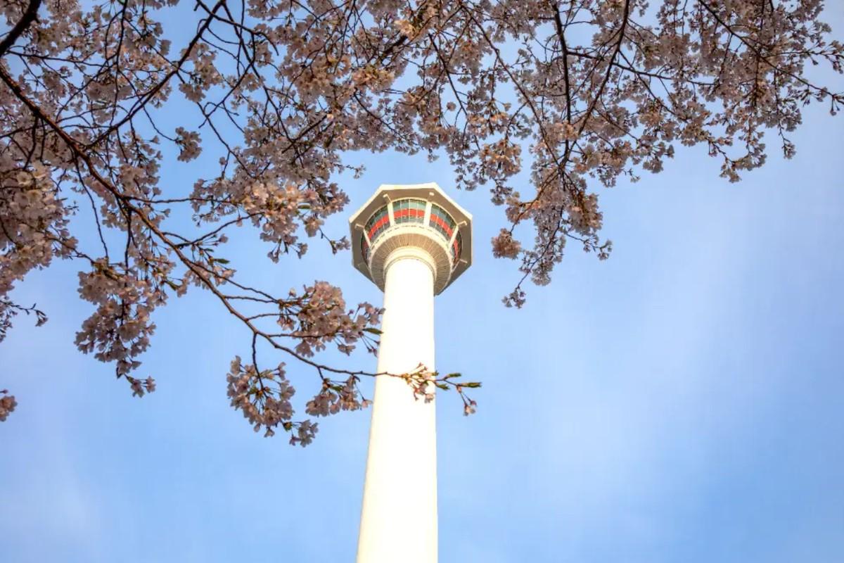Busan Tower on-site photo 2
