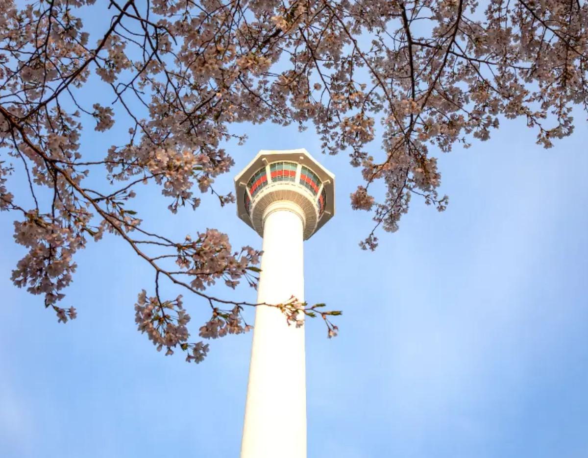 부산타워 전경