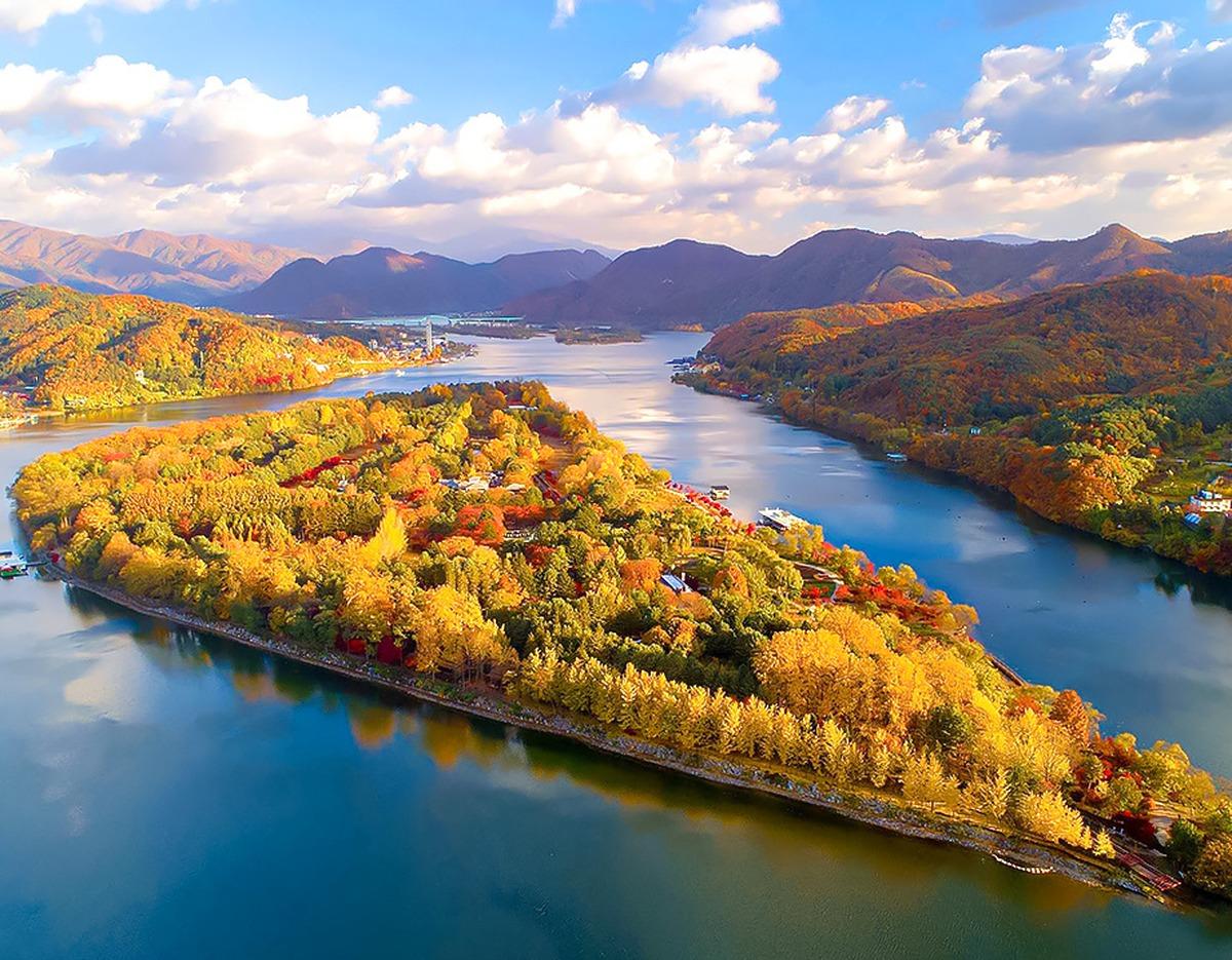 Nami Island aerial view in autumn, golden ginkgo and red maple trees lining the river with mountains in background