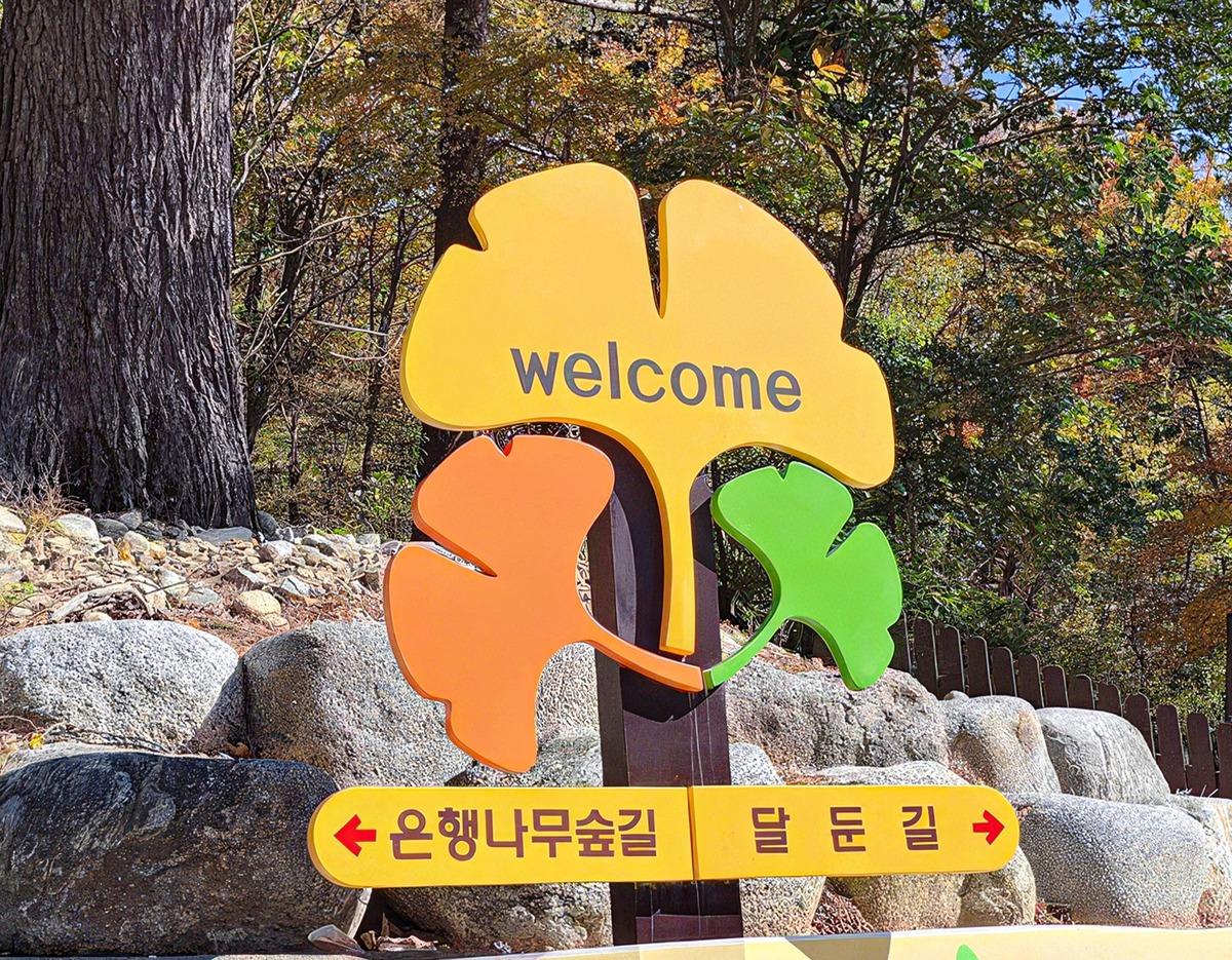 Tour image