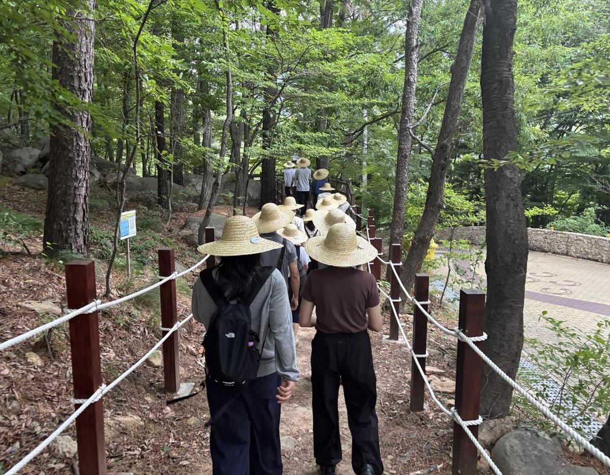 소울트레일 in 금정산: group of hikers wearing straw hats walking single file on wooded mountain trail with rope railing.