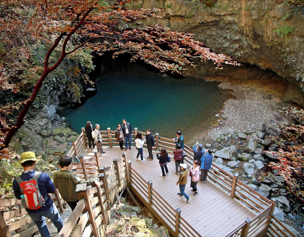 Pocheon & Seasonal Hot Attractions One Day Tour from Seoul