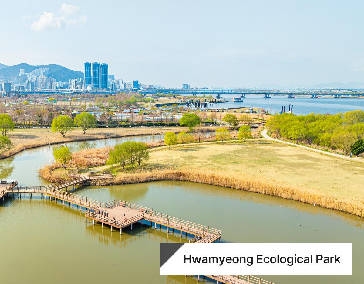 Busan Local Market & Picnic with Riverside Cycling Tour