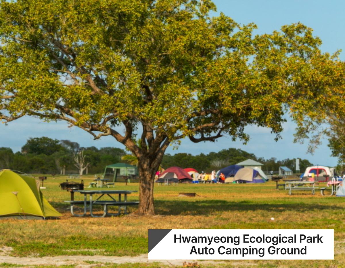 Hwamyeong Ecological Park Campground