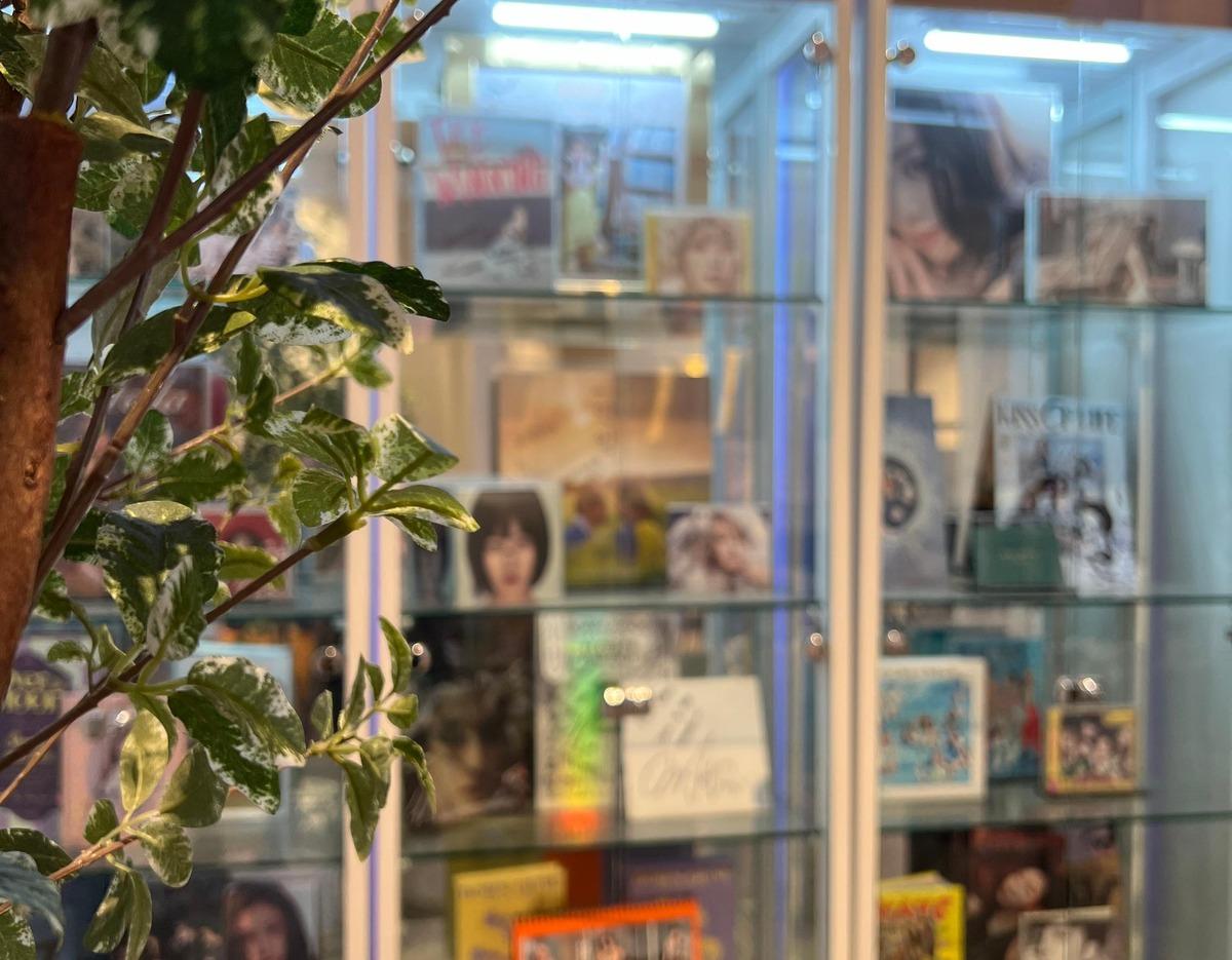 Indoor glass display cabinet with CDs and album covers behind variegated green plant, at 닥터손유나의원 clinic interior.