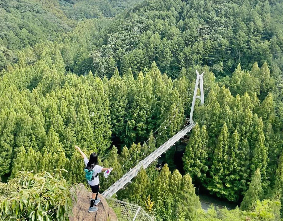 Woman with backpack standing on cliff overlooking metasequoia forest and suspension bridge at Jangtaesan Natural Recreation Forest