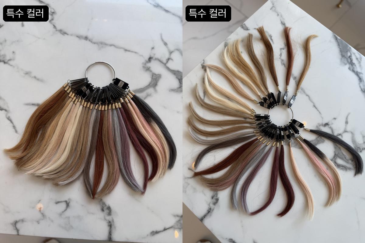 SHINE SOO HAIR hair extension special color examples