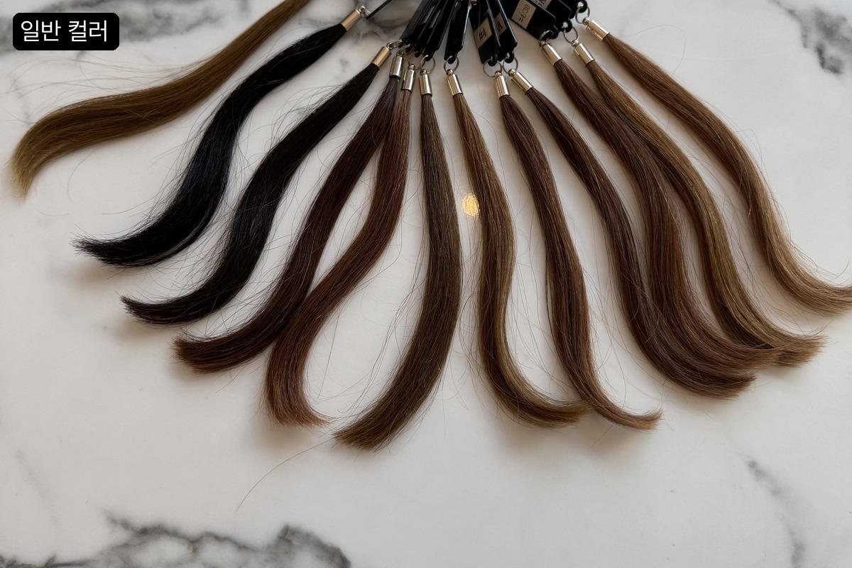 SHINE SOO HAIR hair extension basic color examples